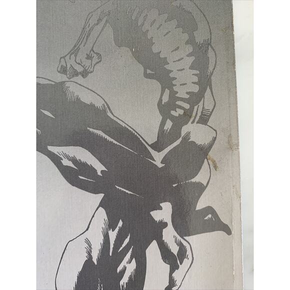 DC Comics "Deadman: Love After Death" Book 2 - Picture 8 of 9